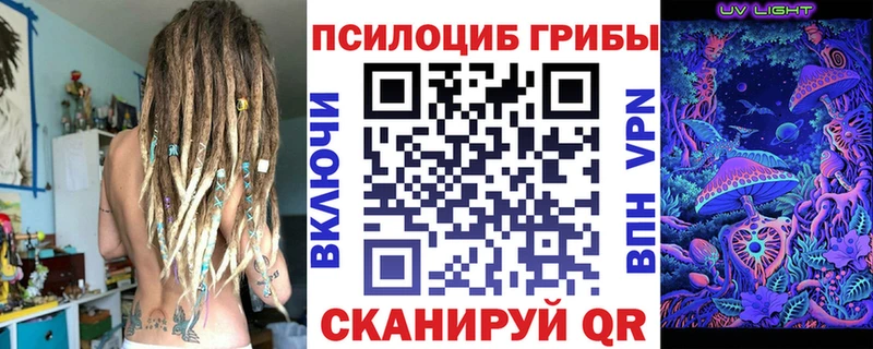 Псилоцибиновые грибы прущие грибы  Пересвет 
